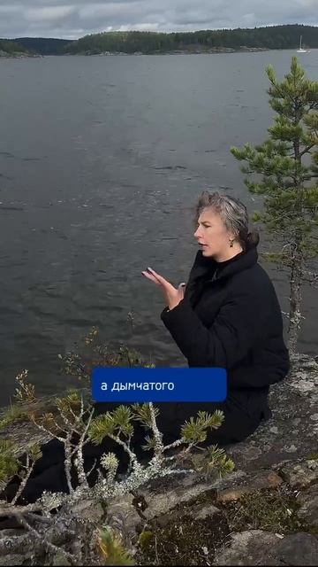На какой край я забралась #катькать #ладога