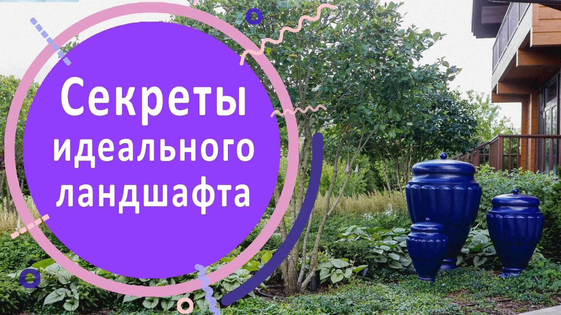 Обзор сада