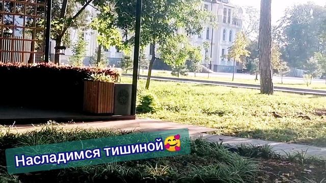 Прогулка в парке, живой звук, утро🏞️