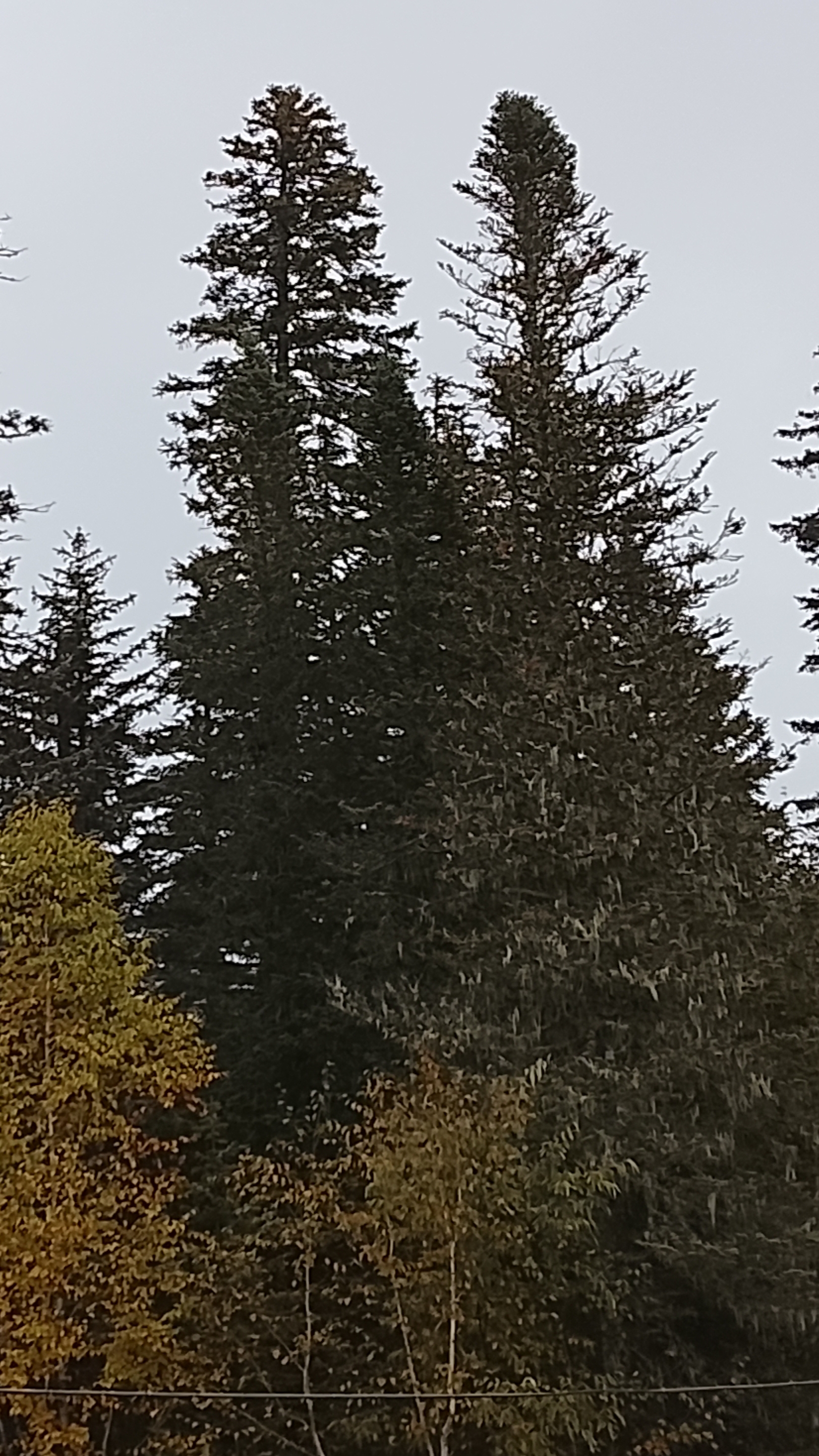 Амут. Бездорожье.