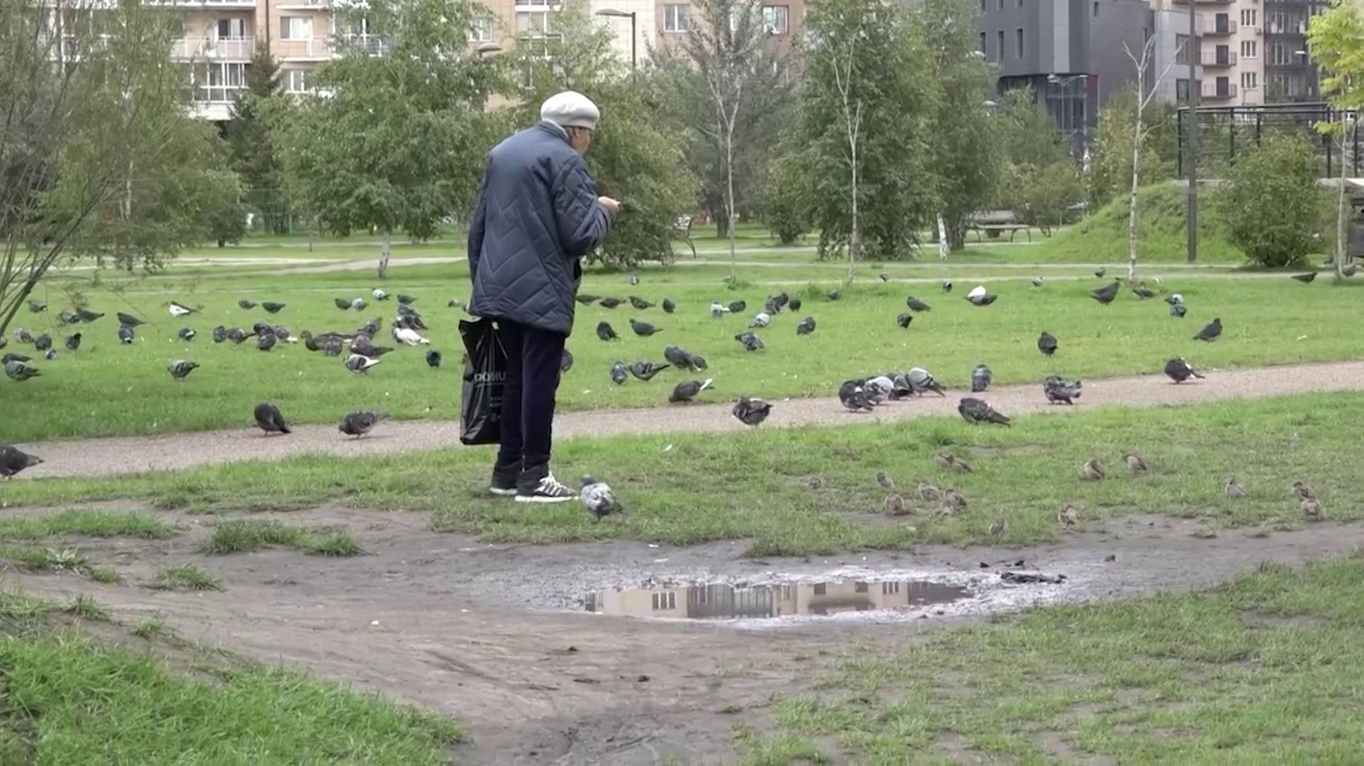 В КРАСНОЯРСКЕ МАССОВО ГИБНУТ ПТИЦЫ. ВО ВРЕМЯ МИГРАЦИИ УНИЧТОЖАЕТСЯ ДО 40 % МОЛОДНЯКА