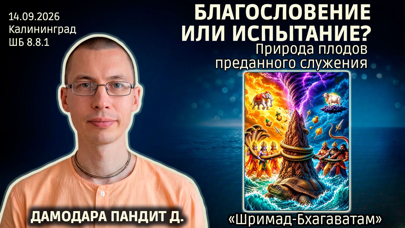 Дамодара Пандит дас. «Шримад-Бхагаватам» в Калининграде