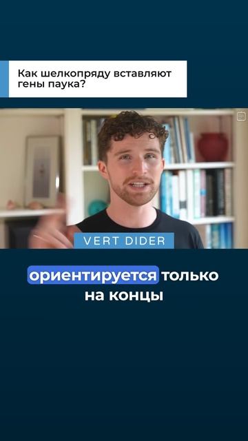 Как шелкопряду вставляют гены паука?