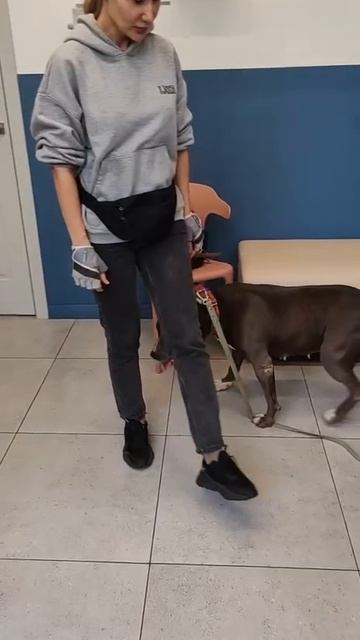rutube.ru