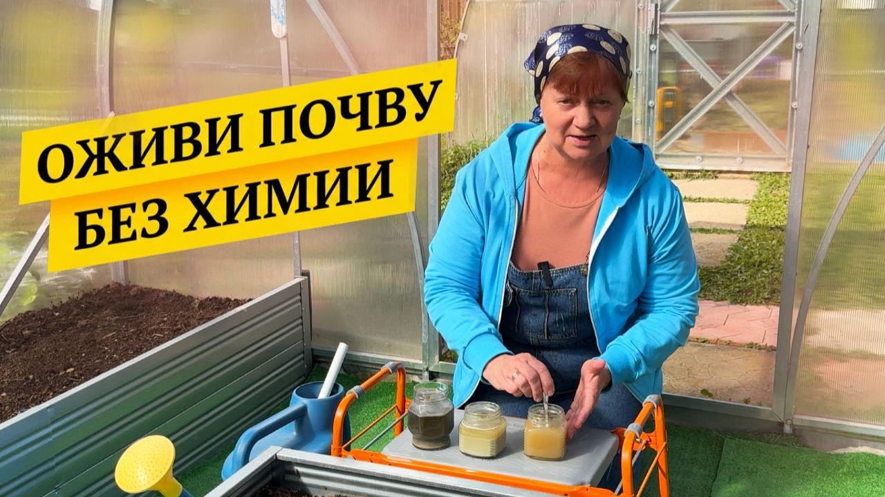 Как я оздоравливаю почву.
