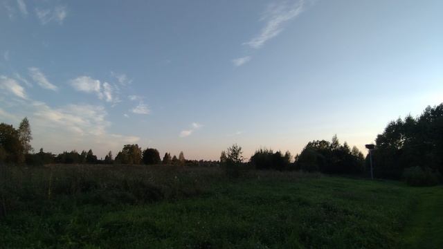 Жизнь аистов