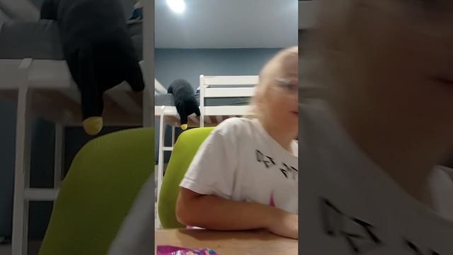 сквиши🥰😍😘😄