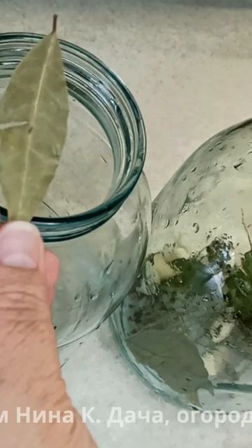 ЗАГОТОВКИ НА ЗИМУ