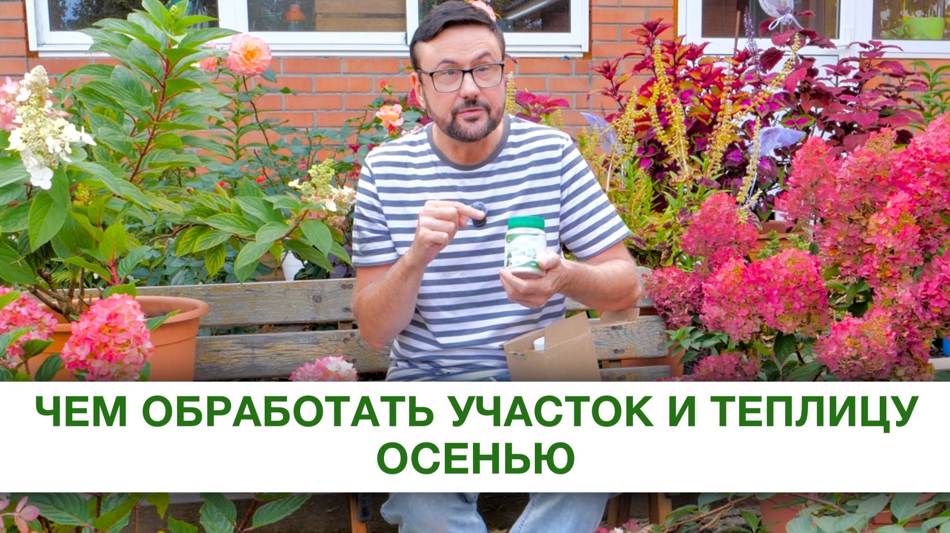 Чем обработать участок и теплицу осенью от болезней и вредителей?