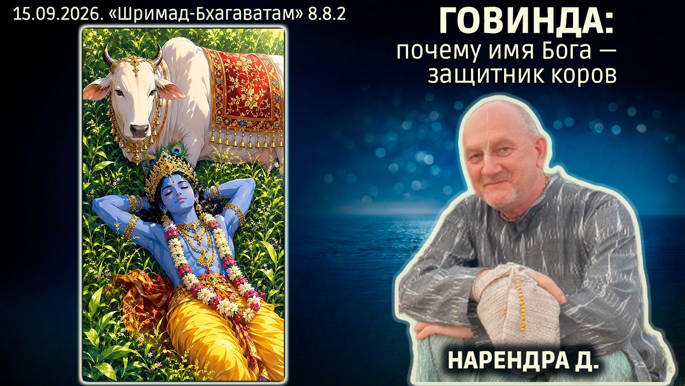 Нарендра дас. «Шримад-Бхагаватам» в Калининграде