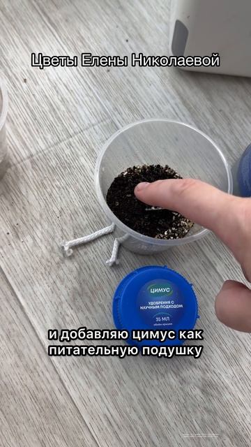 Секрет мощной корневой и огромного клубня