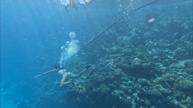 Дайвиг с использованием приспособлением системы Хука 🐟