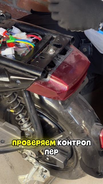 Обучение
