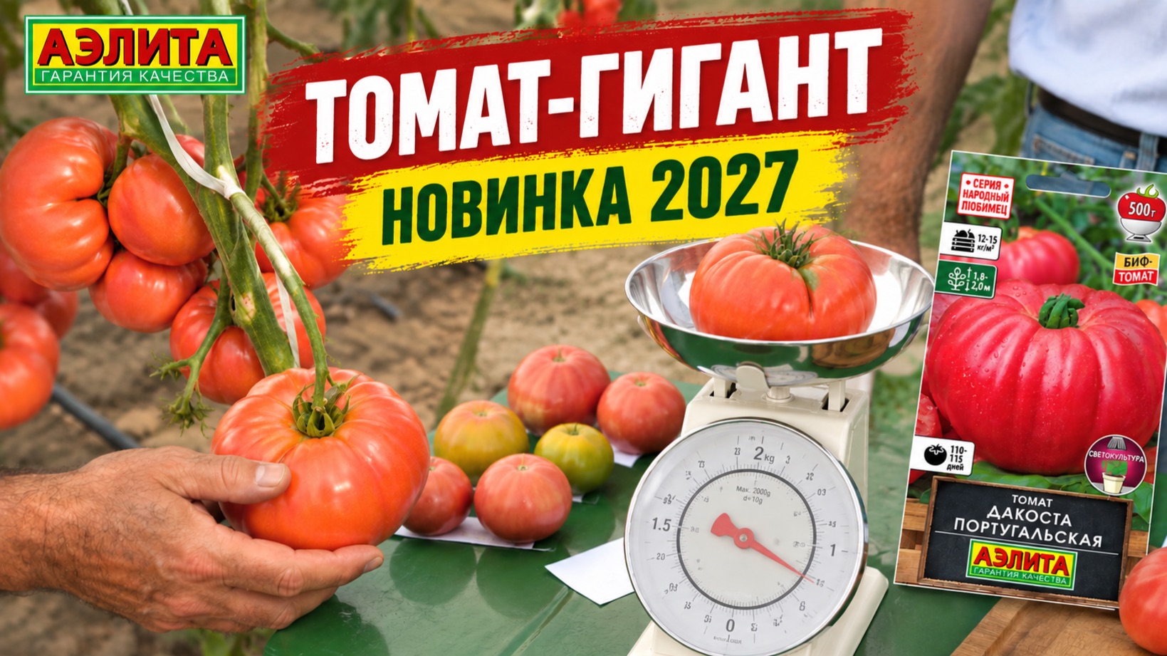 Томаты