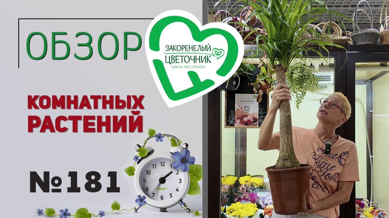 Обзор растений. Поставки в магазин. Новинки и сезонные.