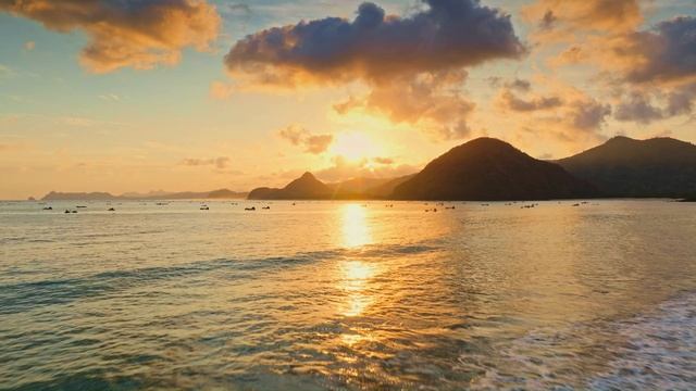 MASTERPEACE Dolby Vision OLED HDR Test 240fps _ 16K Nature Animals