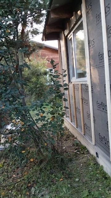 Продолжаем утеплять гостевой домик 🙃