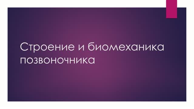 Анатомия и биомеханика