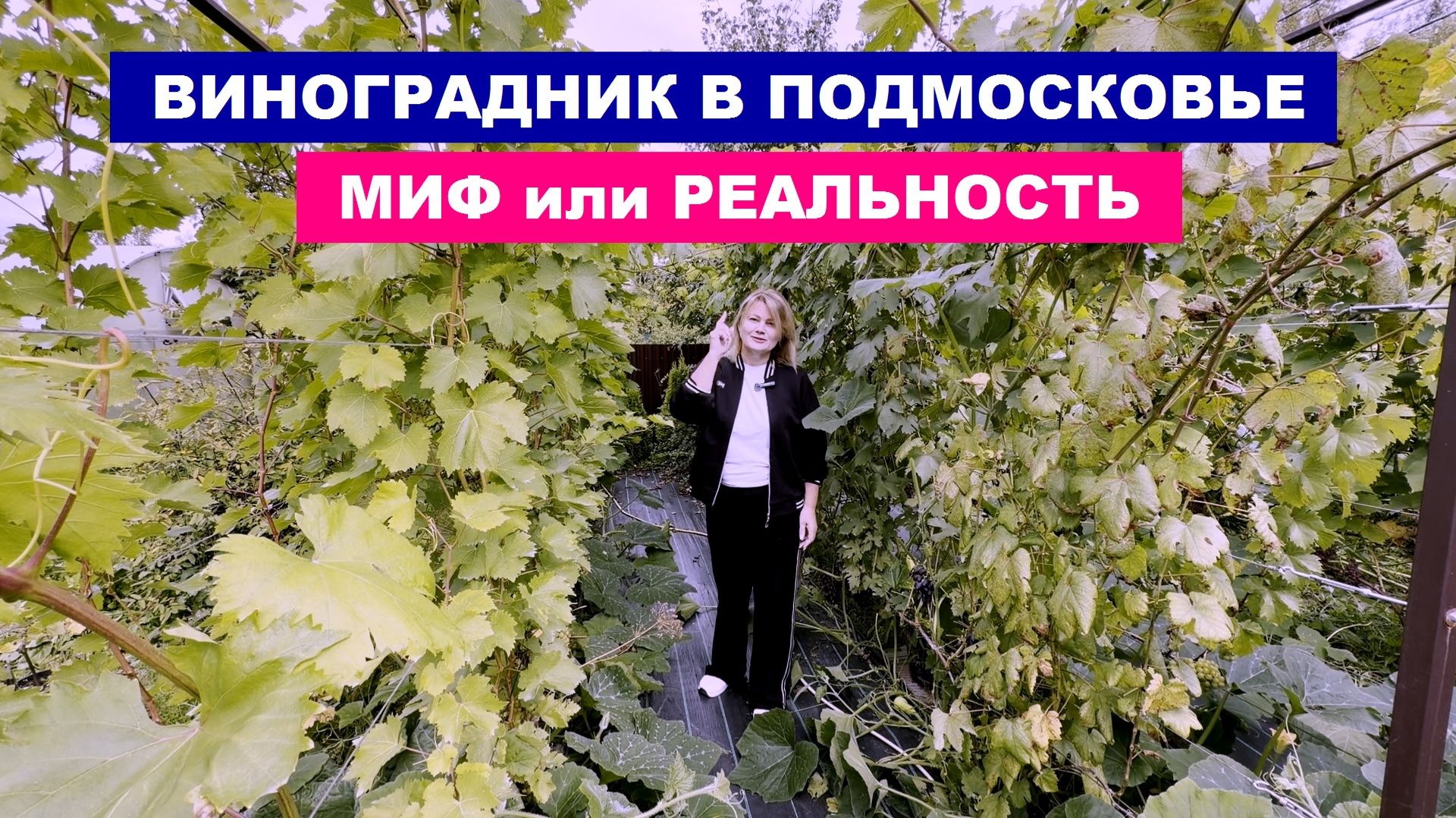 Сад и огород