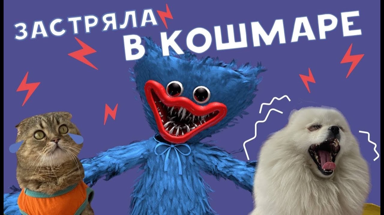 КАССИ И БРЮС