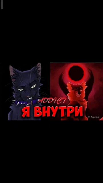 Коты воители