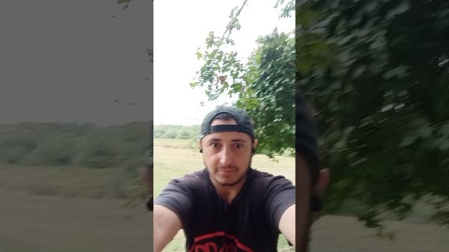 в лесу, на природе