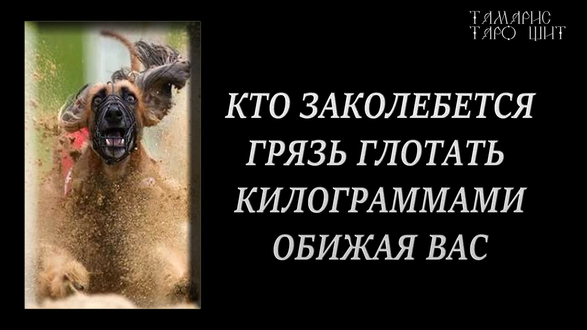 Кто заколебется грязь глотать обижая Вас🔥 #психология#таро#tamaris777t#онлайн