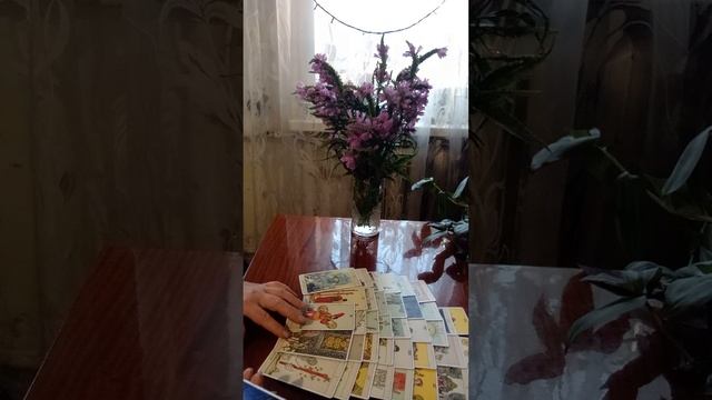 Таро.Жизнь мужчины.