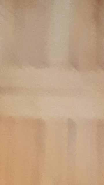 Коты