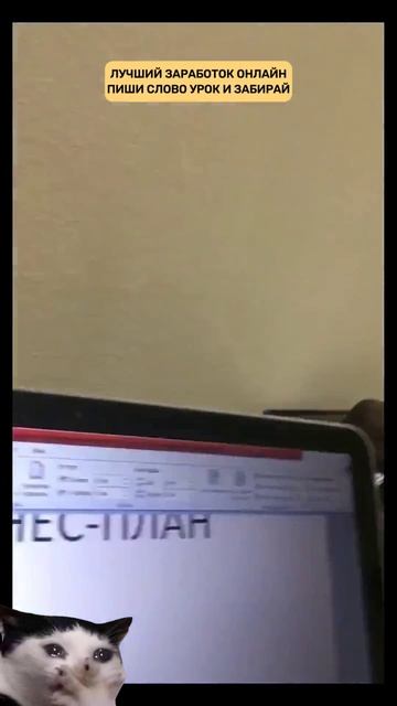Наш старт с нулевым бюджетом