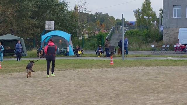 9.  выражено/перв ROMMY TEAM CARRERA (Umbro Team Carrera – Oly Team Carrera)