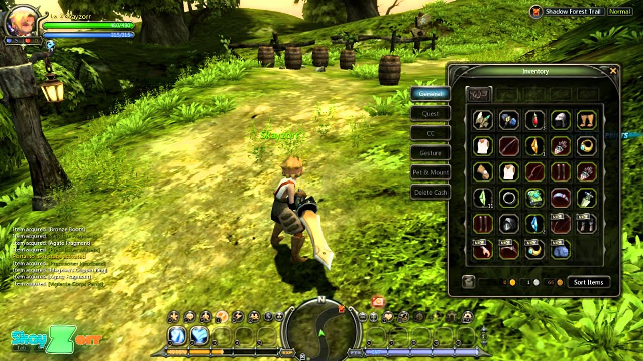 Первый взгляд Dragon Nest