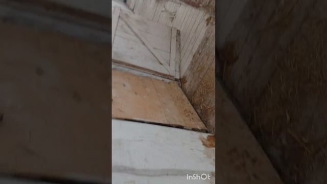 Рабочее место жены