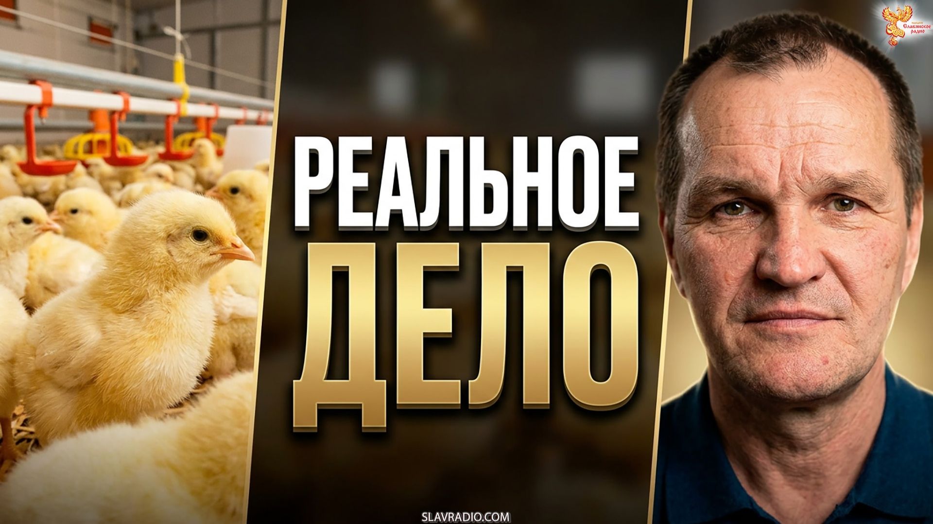 Репортаж с Первого Объекта. Птичник в работе?