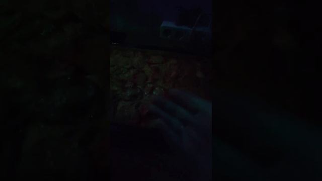 подготовка к новому году (архив 22г.)