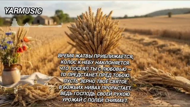 🎶Время Жатвы приближается🌾🌾🌾