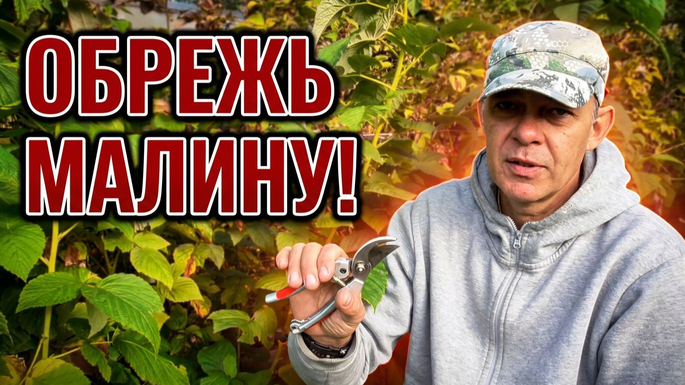 САДОВОДСТВО