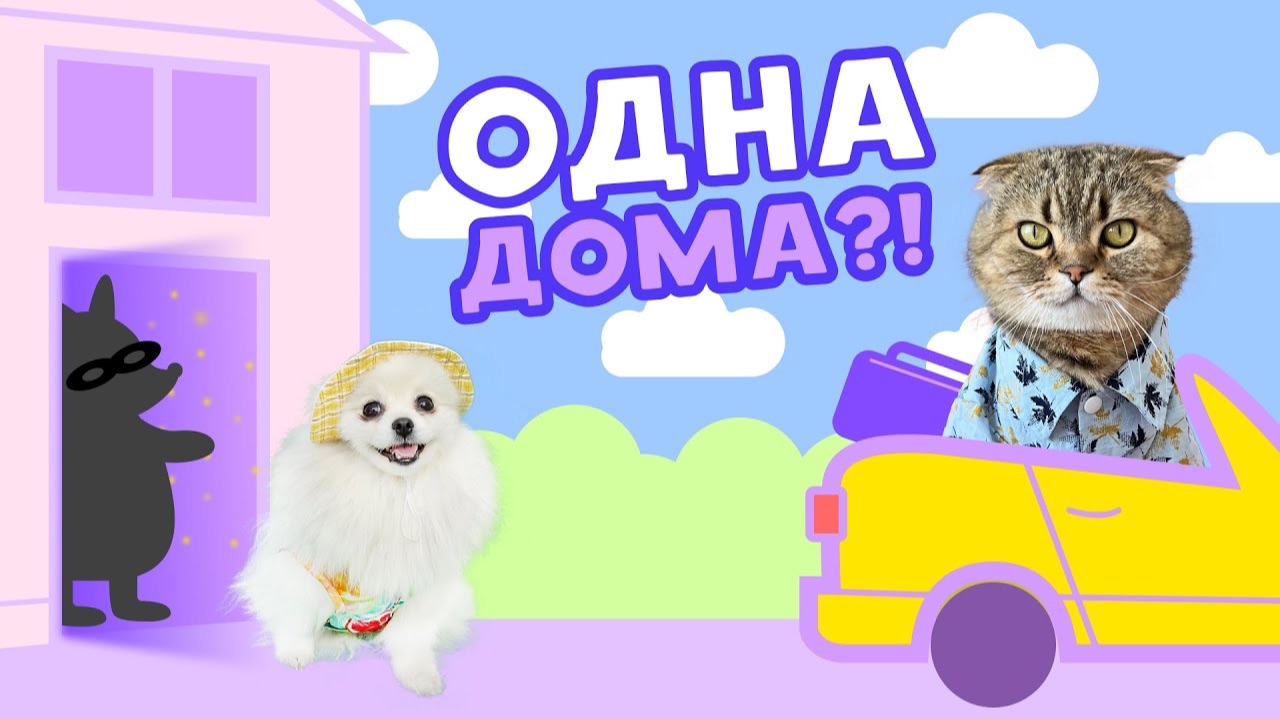 КАССИ И БРЮС