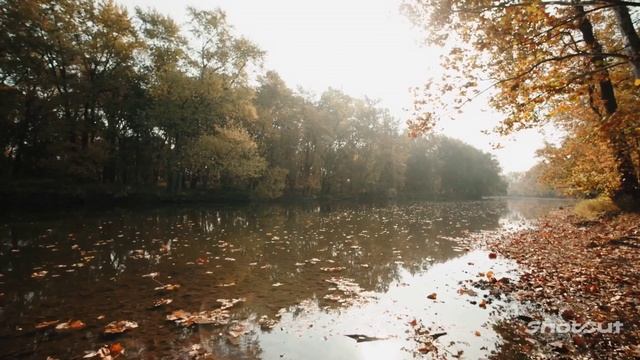ОСЕННИЕ ПЕЙЗАЖИ ПОД ЧАРУЮЩУЮ МУЗЫКУ