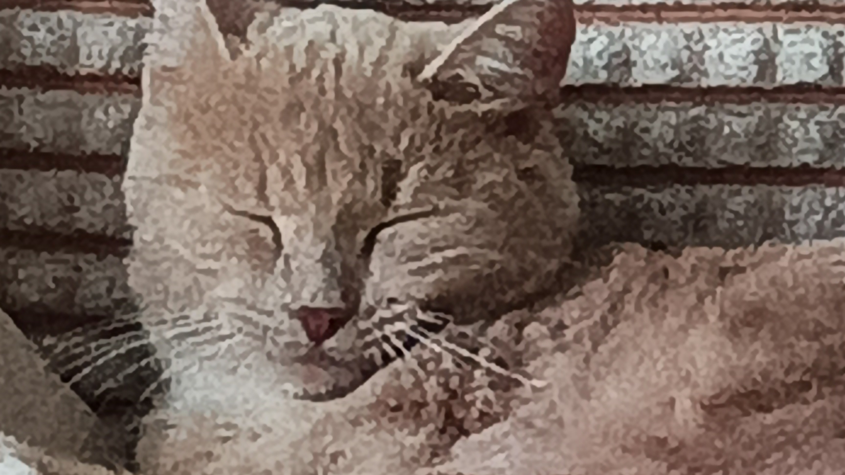 милота
