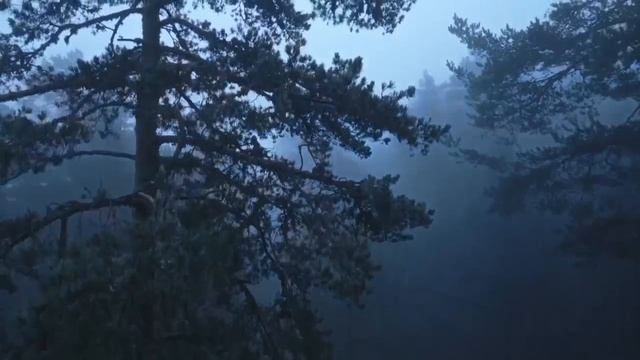 Автор: Сергей Invisible