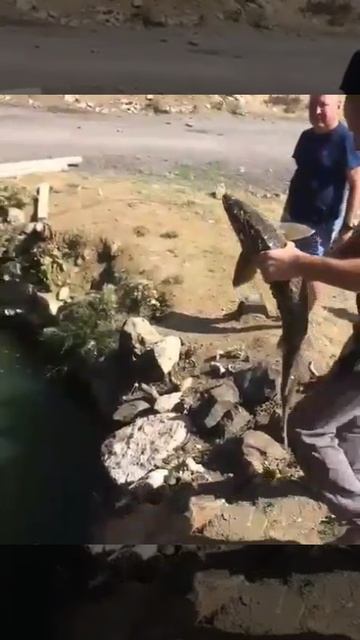 В гостях у крымчанина