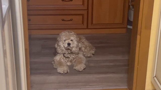 Люся моя❤️❤️❤️