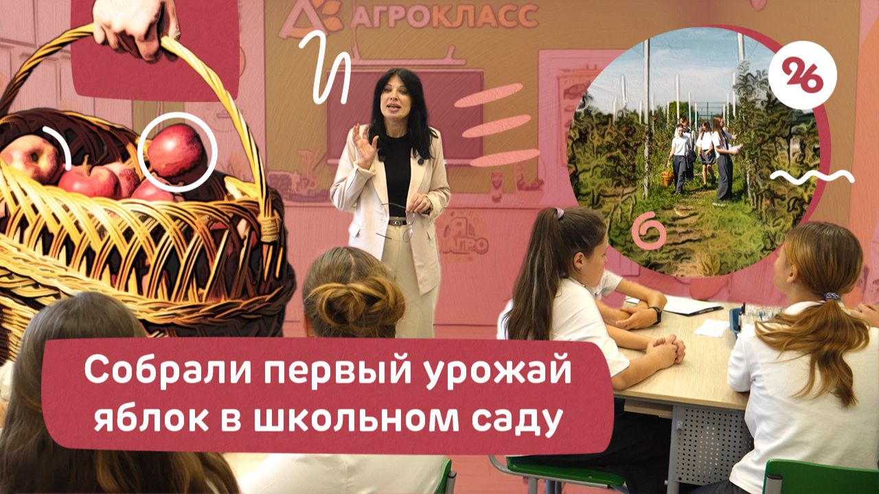 Вырастили яблоки и проверили их качество: школьный сад в ставропольской станице дал первый урожай