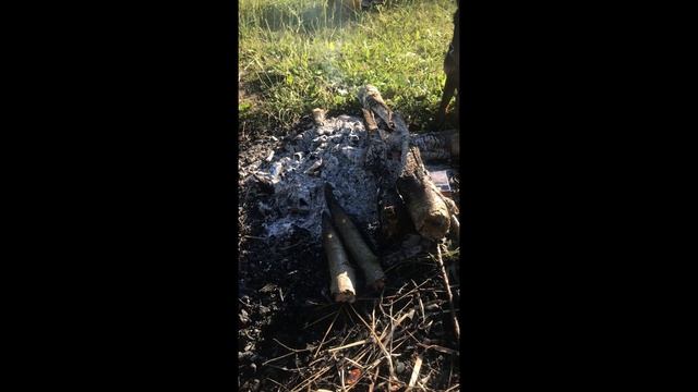 Ягдтерьеры Джессика и Тьма: Охота, дрессировка и жизнь 🐕
