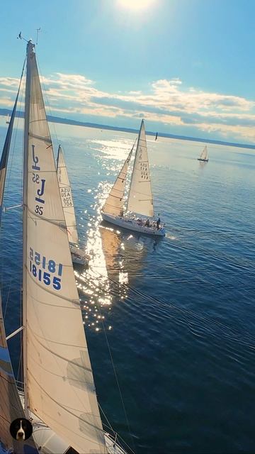 Парусные яхты в Сиэтле с высоты ⛵️ | Съёмка с FPV-дрона