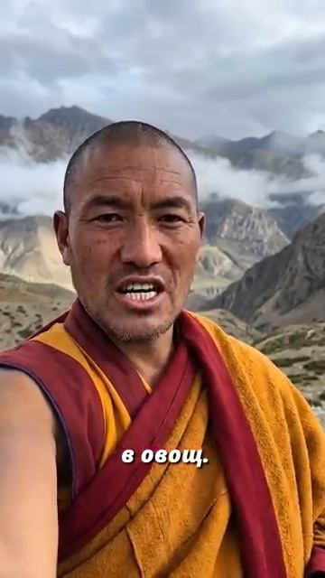 Волкодав против Щенка _ Надо против Хочу #психология #mindfulness #саморазвитие
