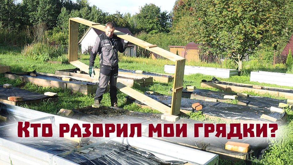 Деревенские будни