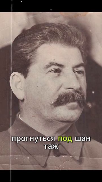 Рилс