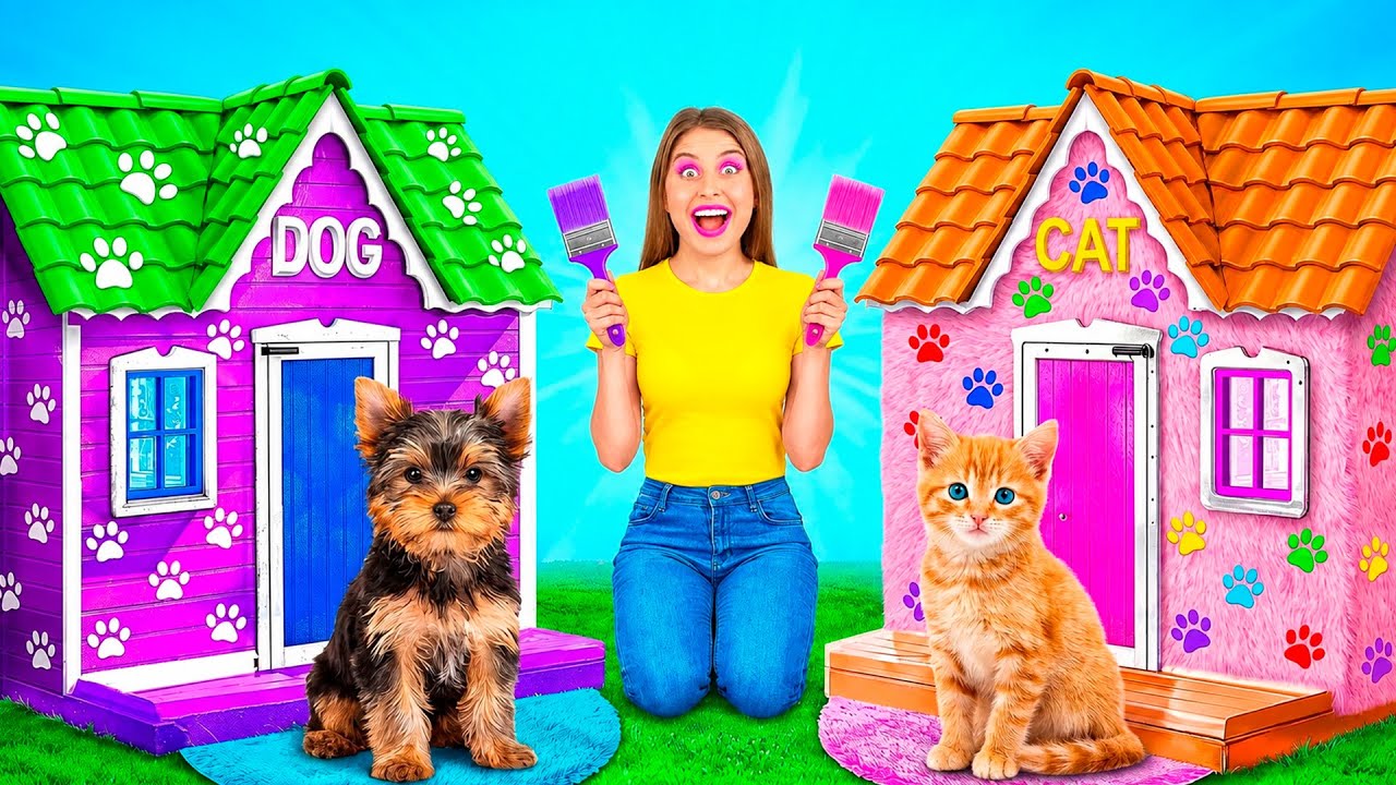 พวกเราสร้างบ้านหรับสัตว์เลี้ยง | ช่วงเวลาที่ตลก GoFun Challenge